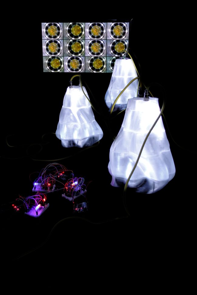 Many headed (…) – Ars Electronica 2023